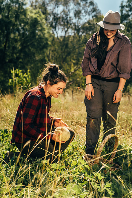 Farm-/ Ranchwork Australien