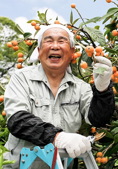 Farmwork in Japan